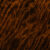PAUL'S GUITAR LIMITED MANGO - TIGER EYE