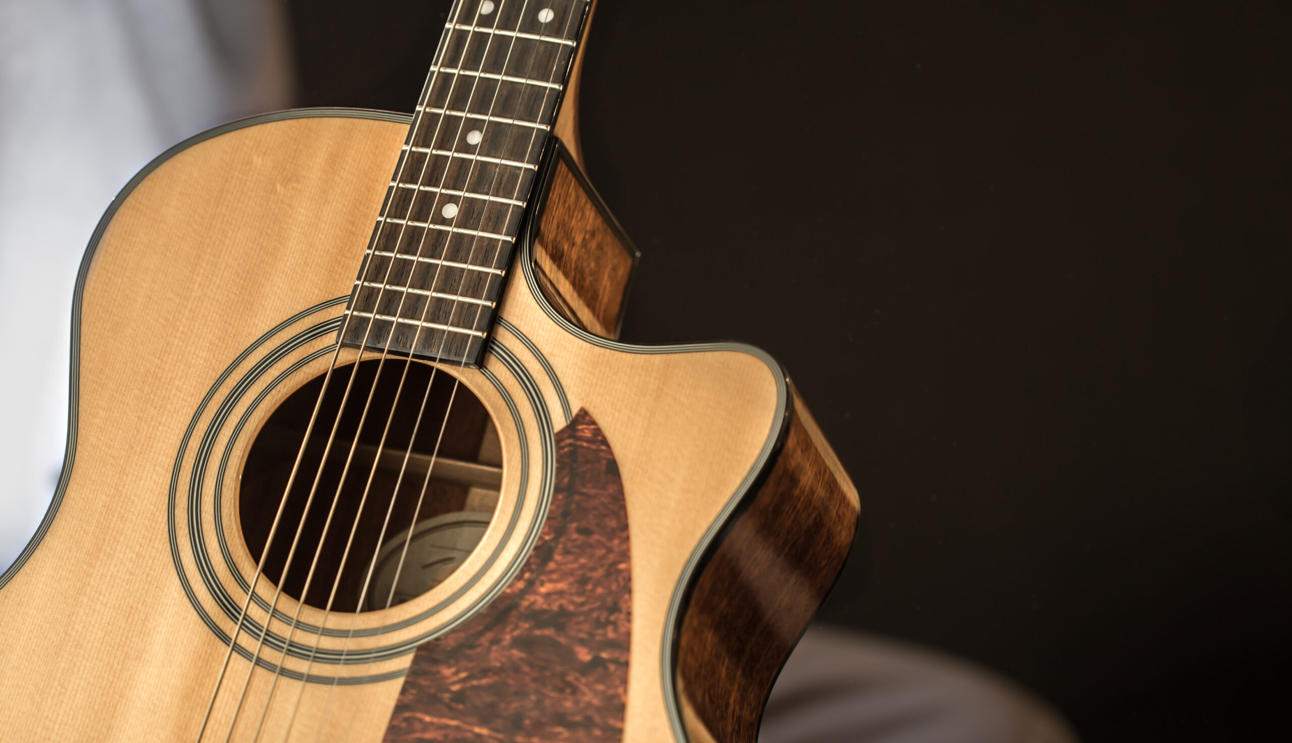 taylor-guitars